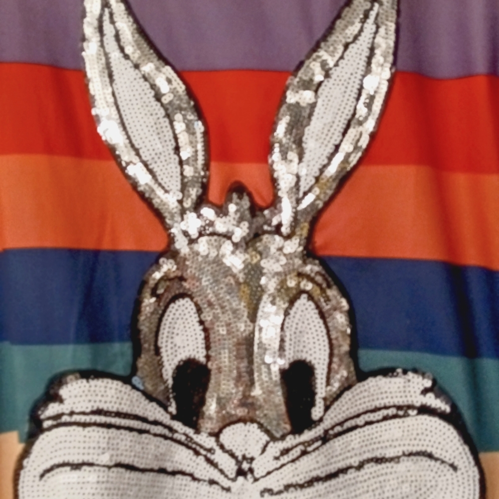 Cute Looney tunes character short dress